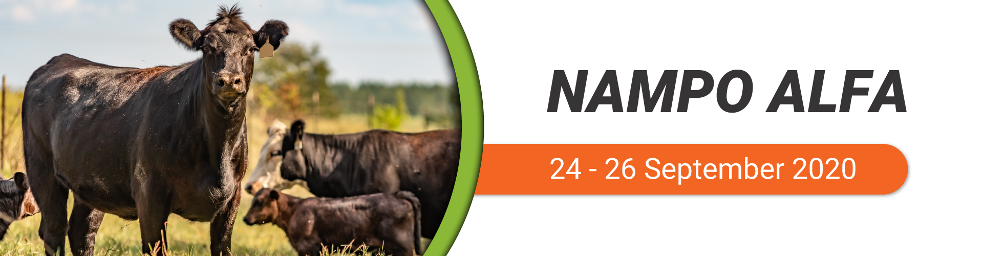 NAMPO-Alfa-website-Banners-EXHIBITORS